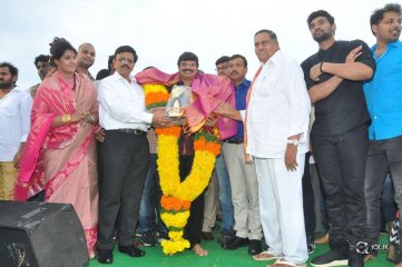 Jaya Janaki Nayaka Movie Vijayotsava Veduka At Hamsala Deevi